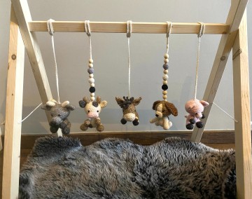 Babygym boerderij